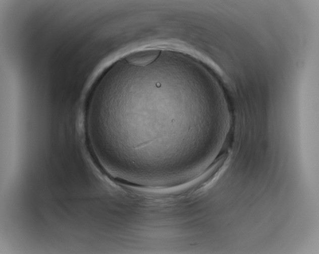 X0000114621506200910201122
