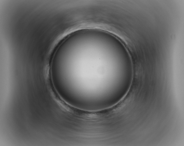 X0000114621507200910201122