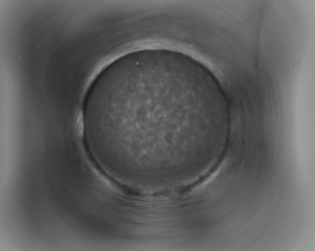 X0000114621509200910201122