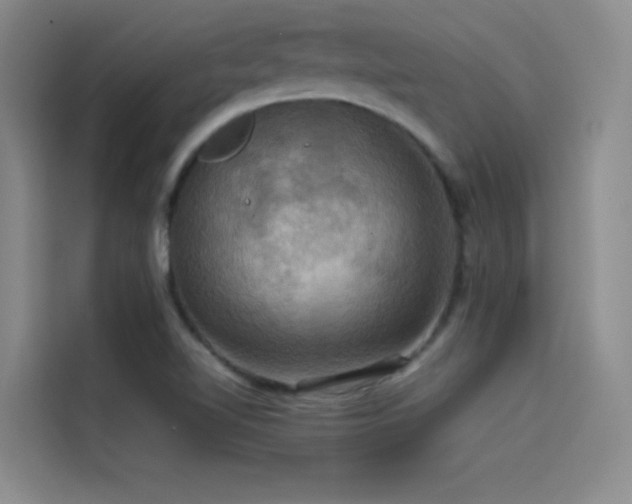 X0000114621510200910201122