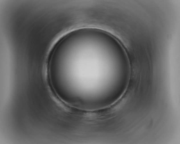 X0000114621511200910201122
