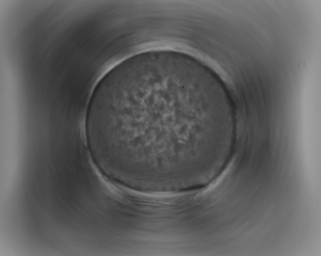 X0000114621513200910201122