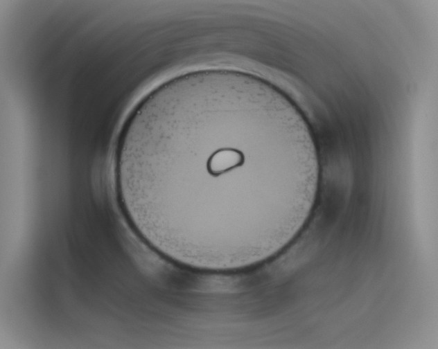 X0000114621514200910201122