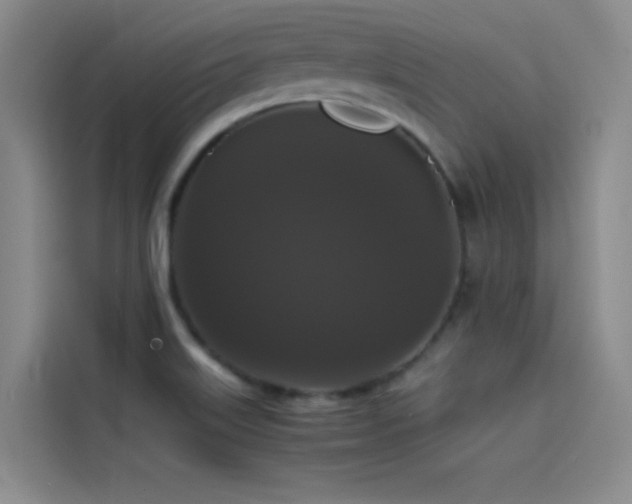 X0000114621515200910201122
