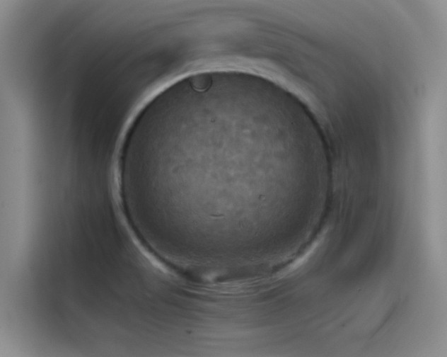 X0000114621517200910201122