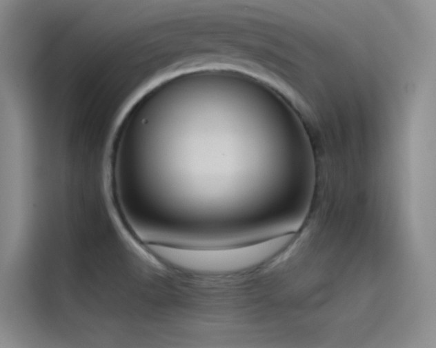 X0000114621518200910201122