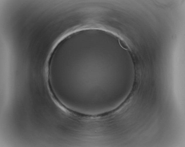 X0000114621519200910201122