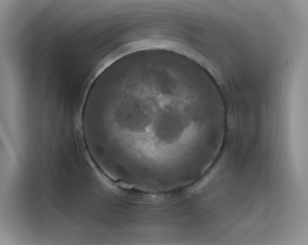 X0000114621521200910201122