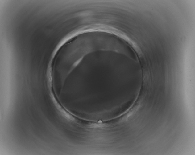 X0000114621522200910201122