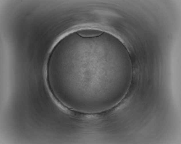 X0000114621523200910201122