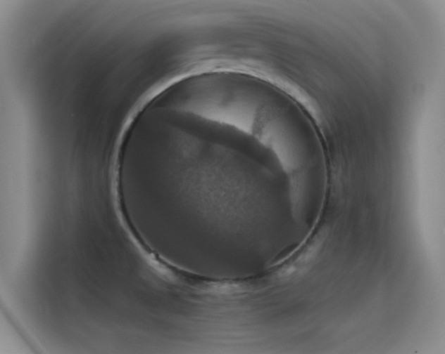 X0000114621525200910201122