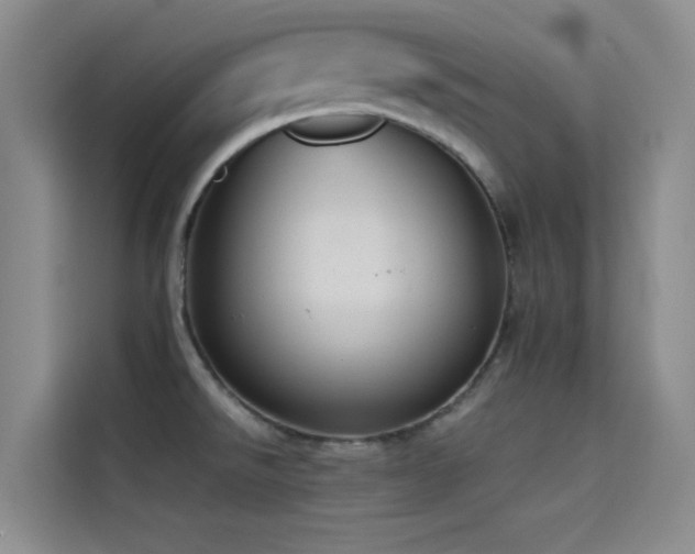 X0000114621526200910201122
