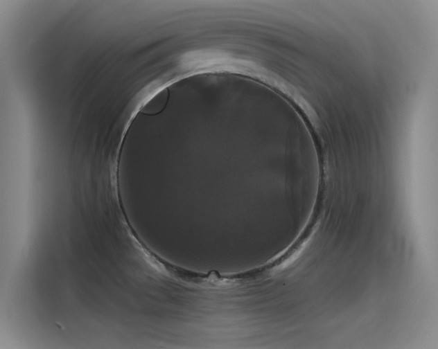 X0000114621529200910201122