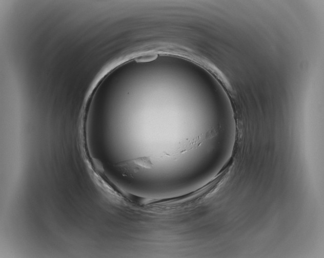 X0000114621530200910201122