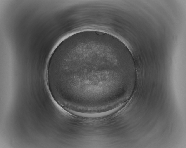 X0000114621531200910201122