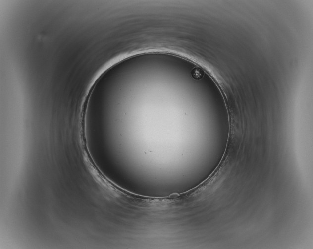 X0000114621534200910201122