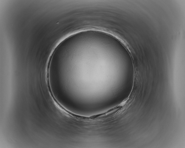 X0000114621535200910201122