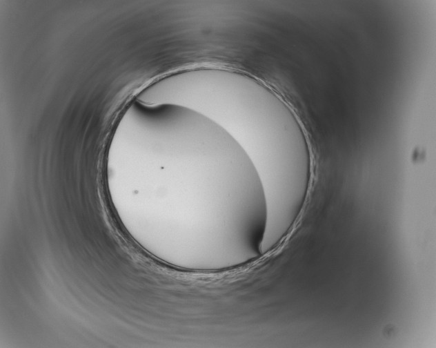 X0000114620001200911101224