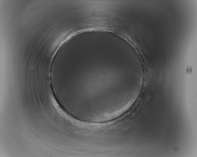 X0000114620002200911101224