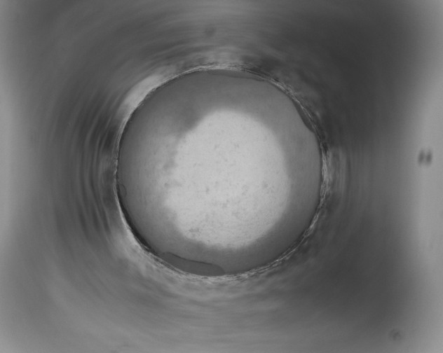 X0000114620003200911101224