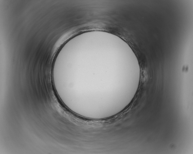 X0000114620004200911101224