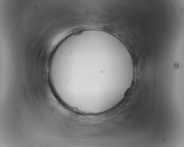 X0000114620005200911101224