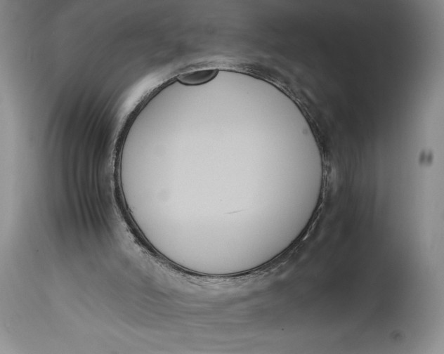 X0000114620006200911101224