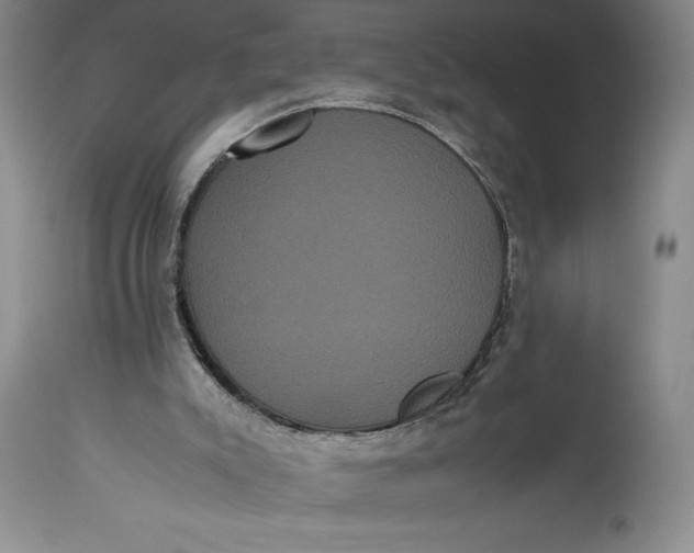 X0000114620007200911101224
