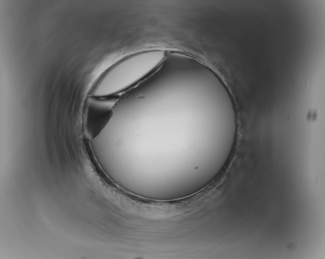 X0000114620008200911101224