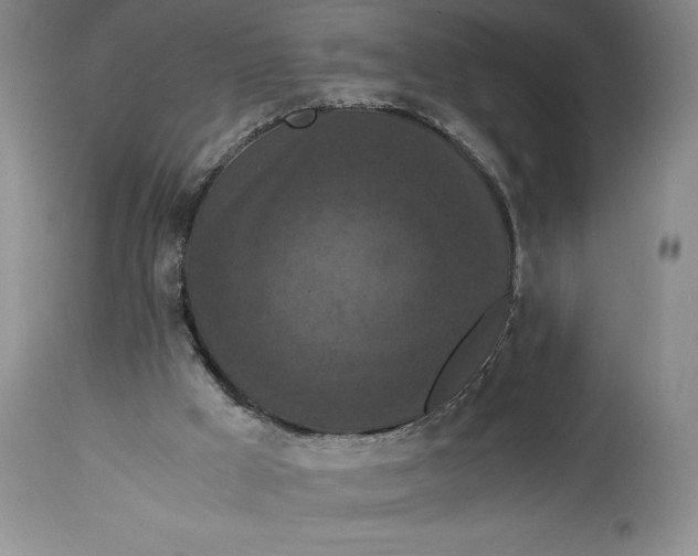 X0000114620009200911101224