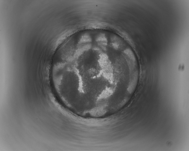 X0000114620010200911101224