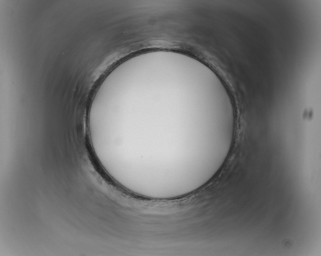 X0000114620011200911101224