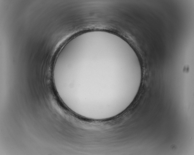 X0000114620012200911101224