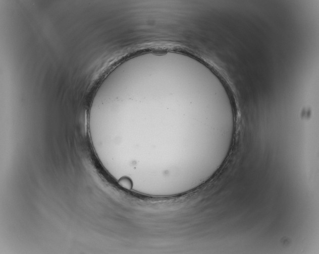 X0000114620013200911101224