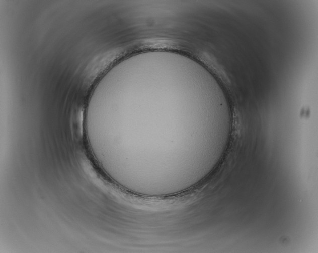 X0000114620014200911101224