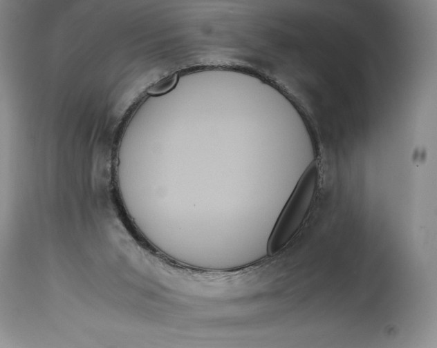 X0000114620015200911101224