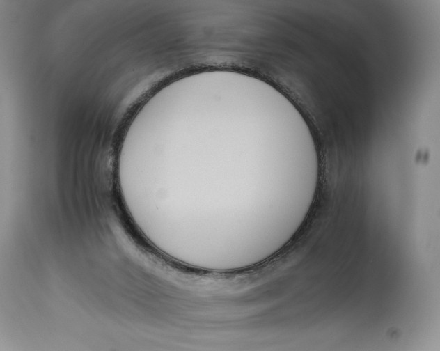X0000114620016200911101224