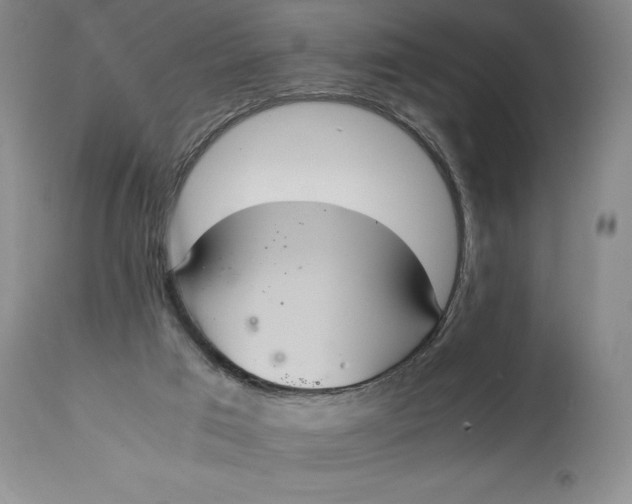 X0000114620017200911101224