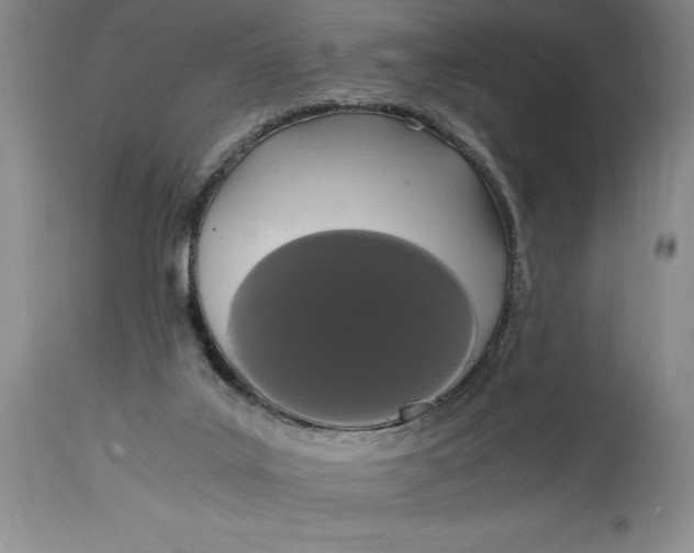 X0000114620019200911101224