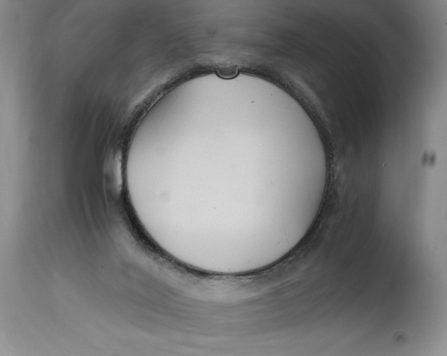 X0000114620020200911101224