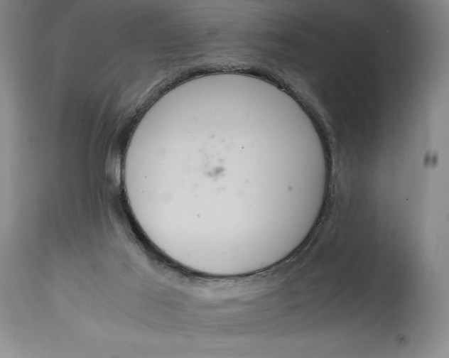 X0000114620021200911101224