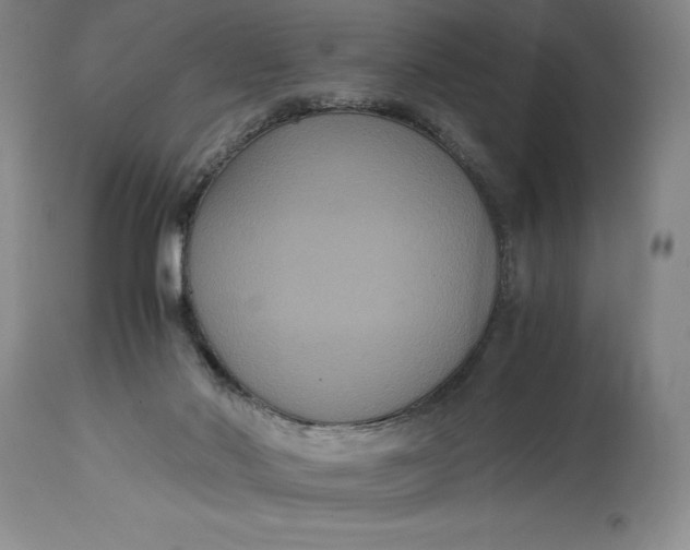 X0000114620022200911101224