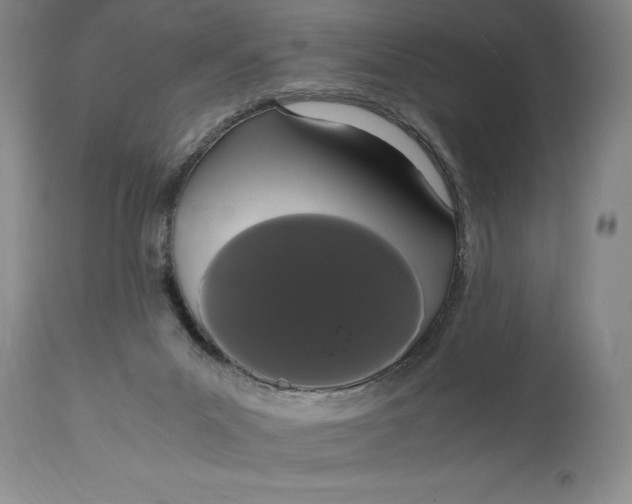 X0000114620023200911101224