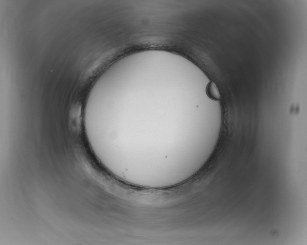 X0000114620024200911101224