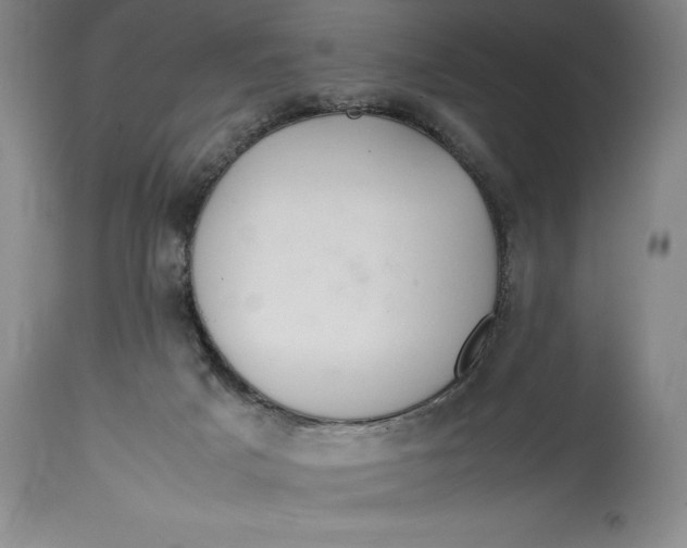 X0000114620025200911101224