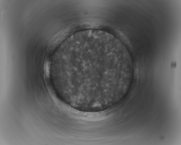 X0000114620026200911101224