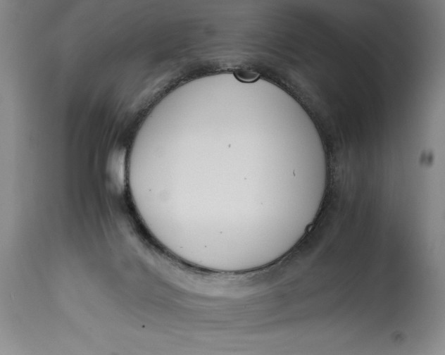 X0000114620028200911101224