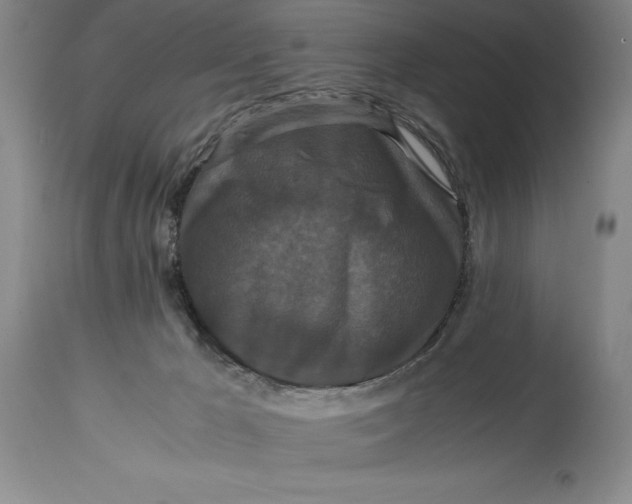 X0000114620029200911101224