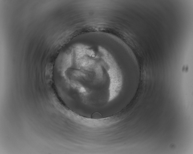 X0000114620030200911101224