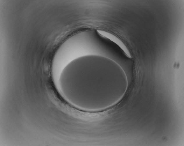X0000114620031200911101224